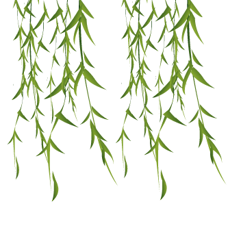 333_333gif 动态图 动图