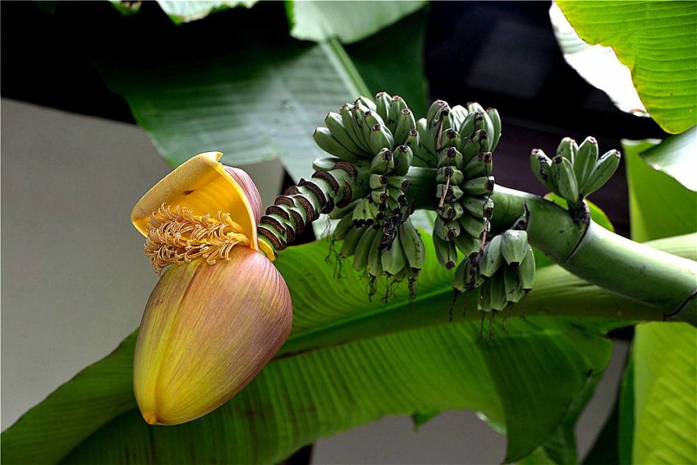 蒋捷的《一剪梅》也很经典,可以比肩李清照那首,最后几句家喻户晓