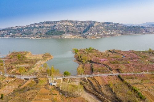 濟南臥虎山水庫南岸桃花開滿山,山明水秀宛如美麗的桃花源