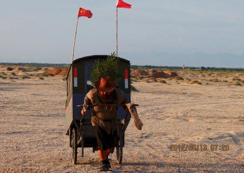 萨子:这棵树怕冷,所以日夜兼程