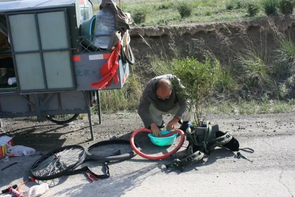 萨子:这棵树怕冷,所以日夜兼程
