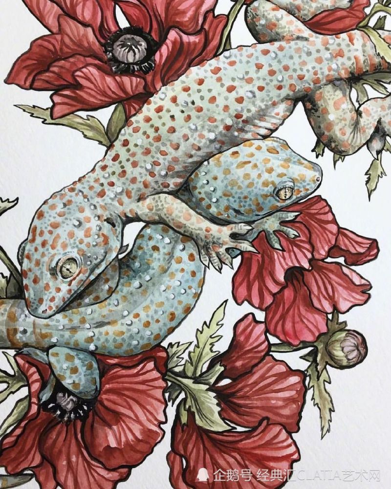 插画师veronica steiner笔下的奇幻动物世界,惊艳又刺激
