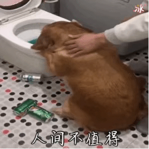 人间不值得
