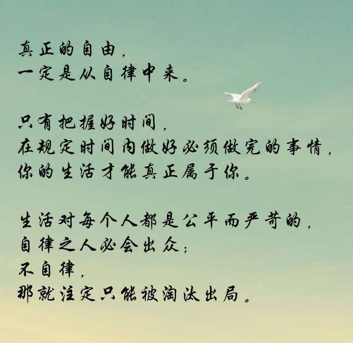 辛东方:一切的成功来自"自律",强大的背后是源源不断的努力