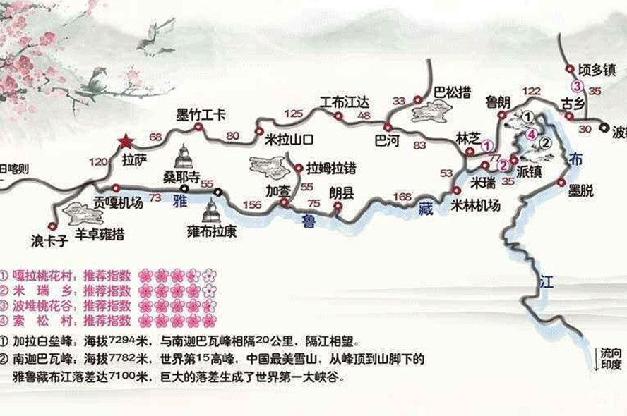 此生一游林芝桃花林归来遍是桃花水