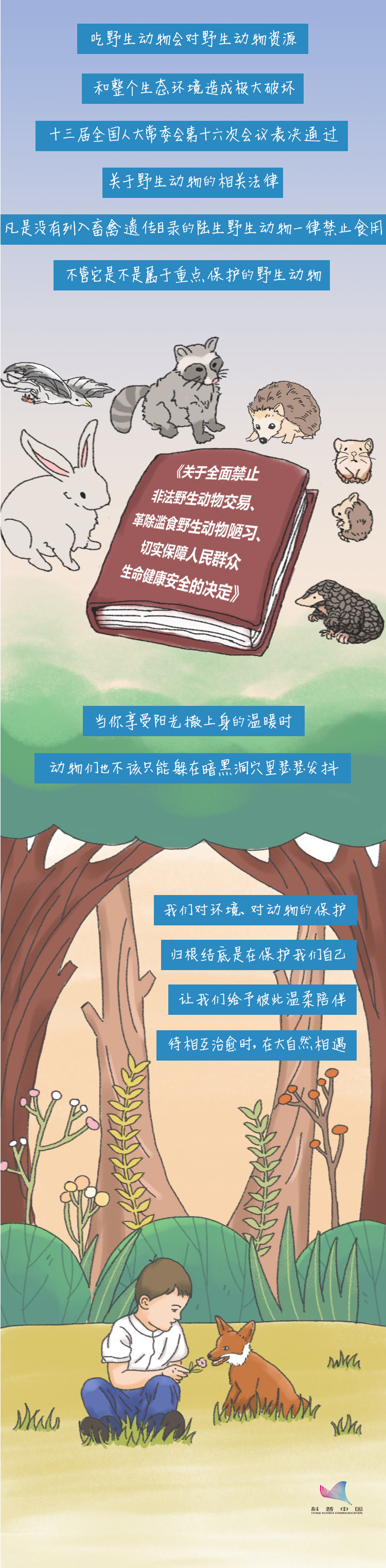 十三届全国人大常委会|来看看野生动物们的生存图鉴！让我们对捕食野味say no