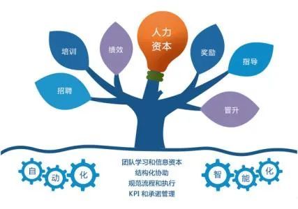 超详细人力资源工作流程图,资深hrd人手一份!