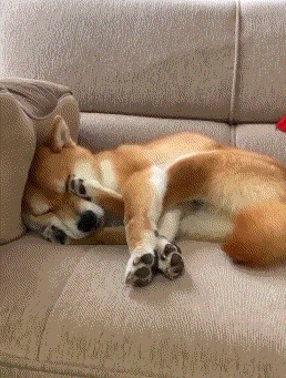 258_341竖版 竖屏gif 动态图 动图