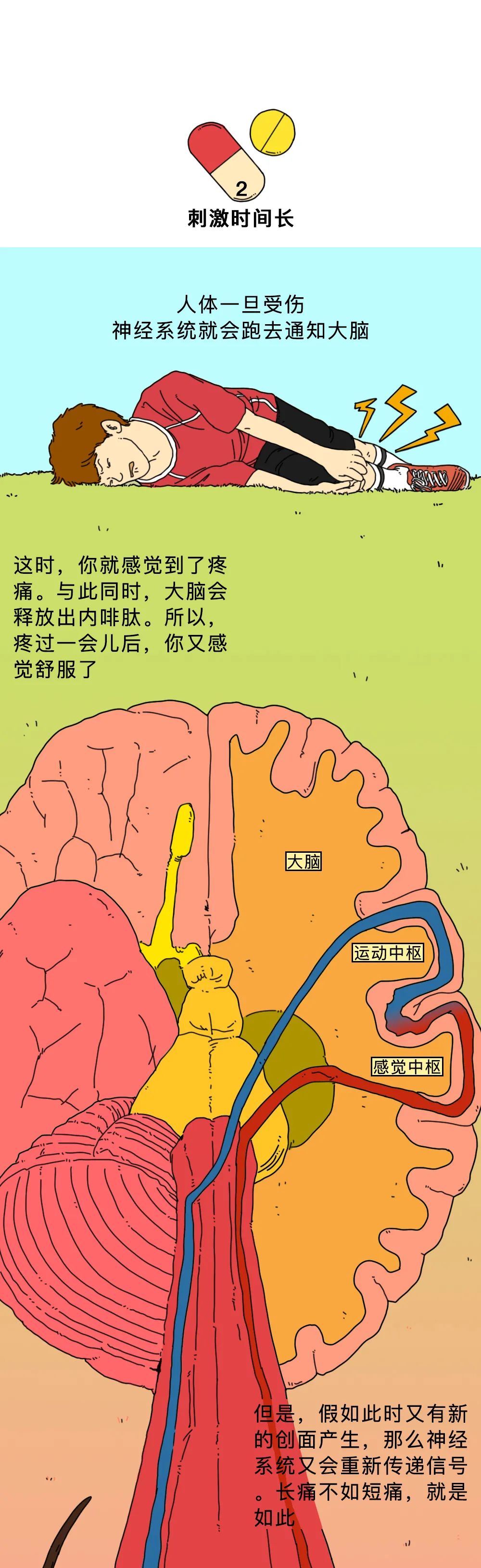 打屁股针为啥那么痛