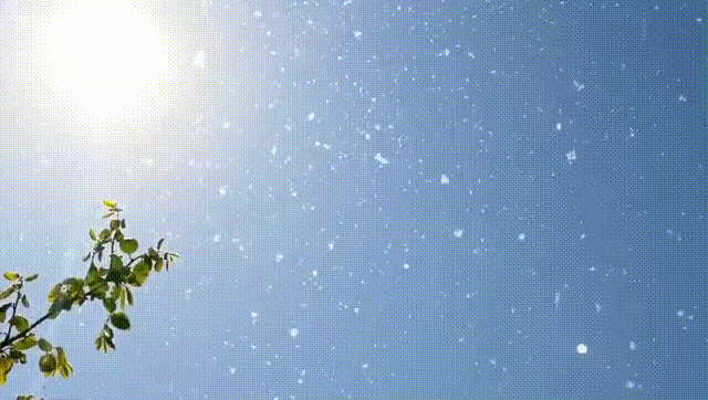 640_362gif 动态图 动图