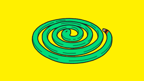 蚊子|全世界最“致命”的动物是什么？每一次叮咬可能传播4种疾病