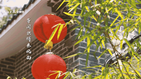 449_252gif 动态图 动图