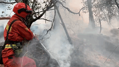 林芝只有桃花 99 的人都想错了 腾讯新闻