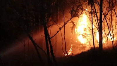 视频惊心福建突发森林大火百余名消防全力扑救