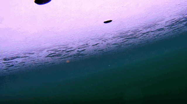 想让无人机潜水何必把几万块的大疆丢到水里