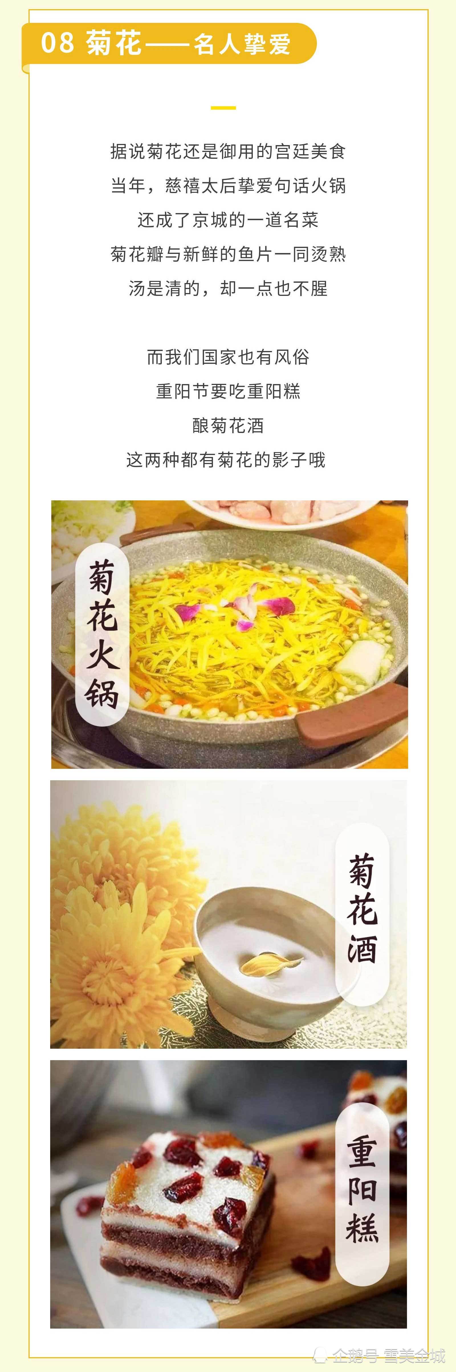 万物皆可盘 万花皆可吃 四月花开烂漫时 春季 吃花 指南 腾讯新闻