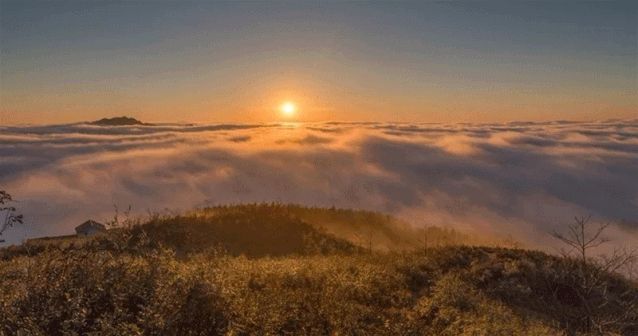 638_336gif 动态图 动图