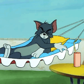 表情特辑猫和老鼠无字gif系列