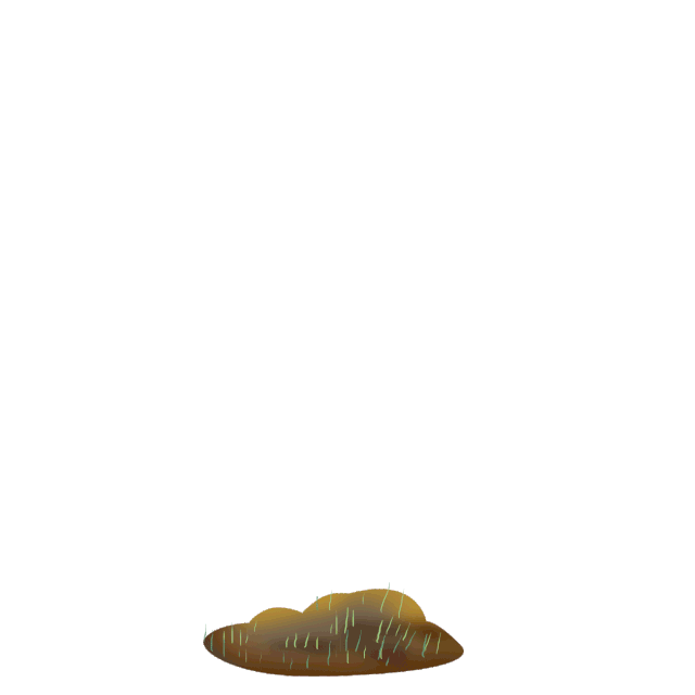 640_640gif 动态图 动图