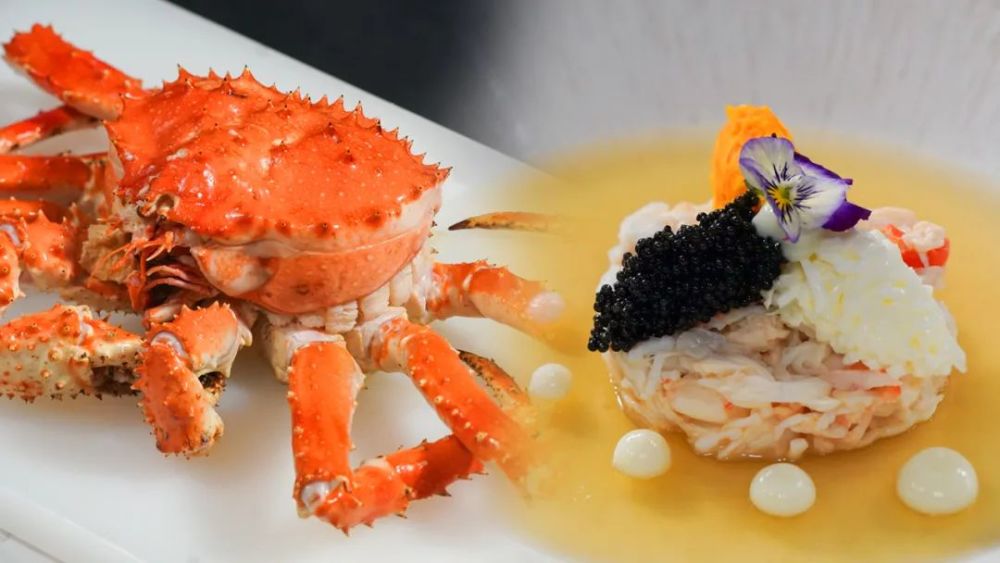 《风味实验室》第2季定档