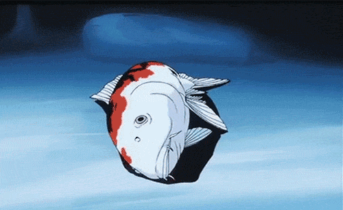 生活在水里的鱼,还需要喝水吗?_腾讯新闻