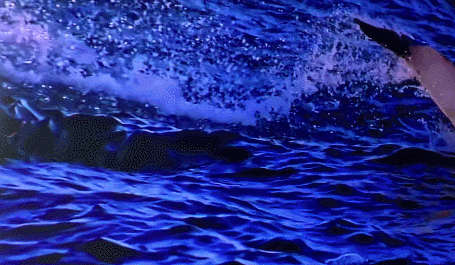 小米上架"王思聪"电视!100英寸堪比万达影院,4k超清仅10999元