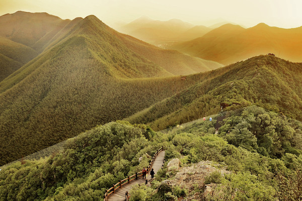 天目湖山水園,天目湖,南山竹海,御水溫泉,竹海