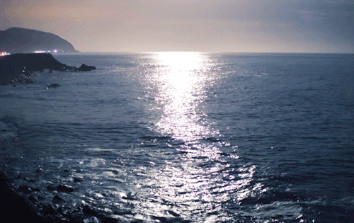 500_315gif 动态图 动图