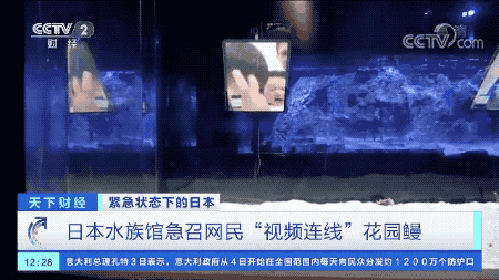 疫情期间 花园鳗 自闭 了 水族馆紧急招人视频连线 腾讯新闻