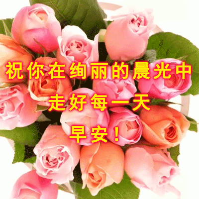 教师节漂亮早上好问候祝福语动态表情鲜花图片 最新早安问候祝福语短信大全 问候语大全