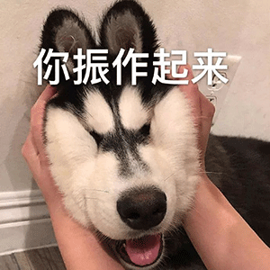 你振作起来,钓的就是你,你偷了一个少女的心