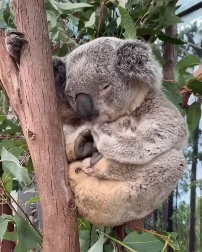 400_500竖版 竖屏gif 动态图 动图