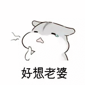 仓鼠表情包:老公,要亲亲,要抱抱,还要举高高_腾讯新闻