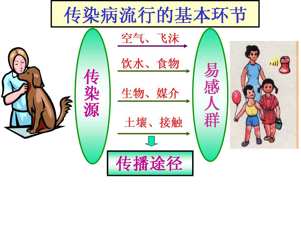 新型冠状病毒传染源图片