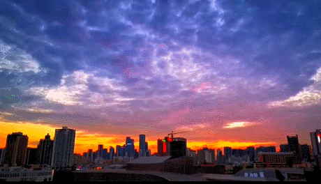 南山的三朵"云"连日来摄影:李若兴,梁亚淑,温煦,陈墨轩把时光惊艳一组