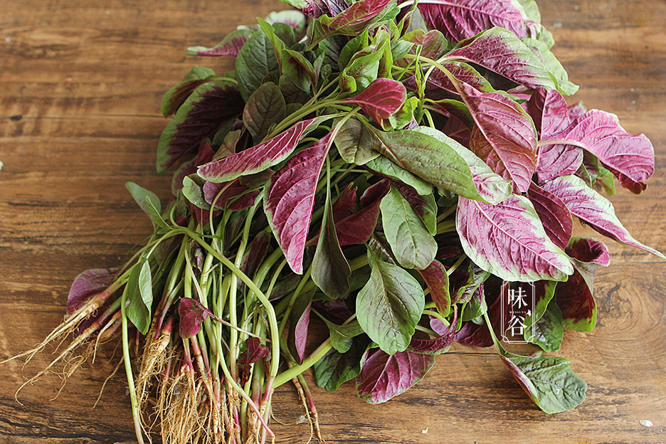 它是"长寿菜",五月吃正当季,用来做饭营养十足,孩子超爱吃