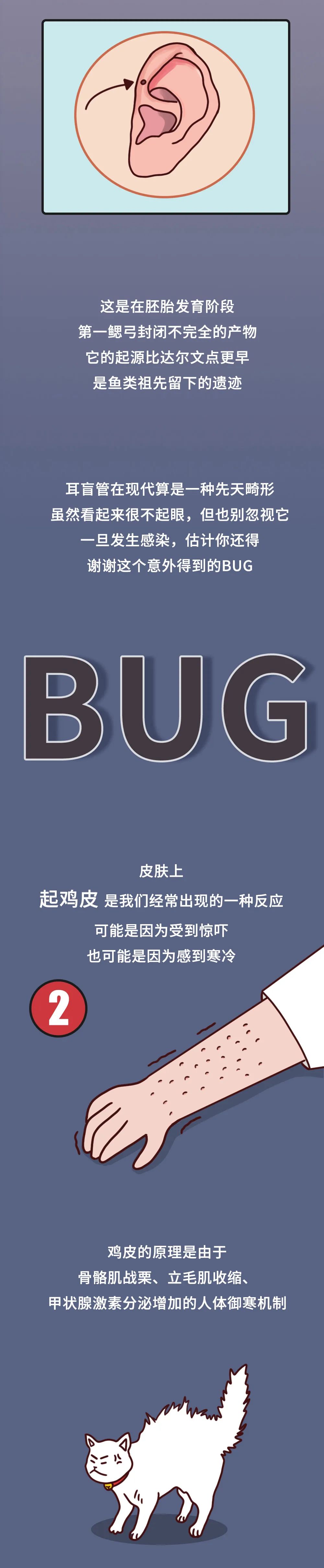 除了尾骨人体还有哪些有意思的进化残留