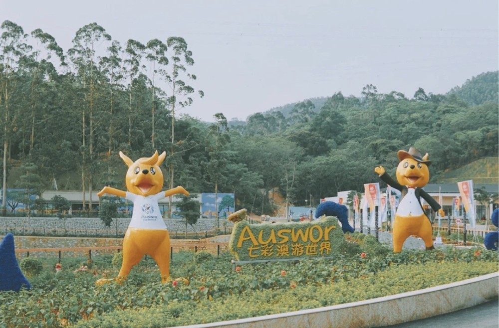 广州新晋网红打卡点,走进袋鼠乐园,看夏季最美花海