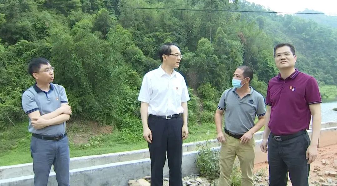 最新县委书记高向荣到城厢镇和龙门镇调研