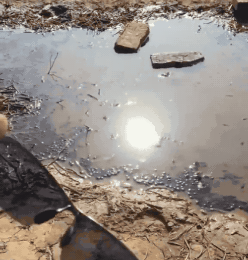 量子力学|隐藏着量子力学的墨镜