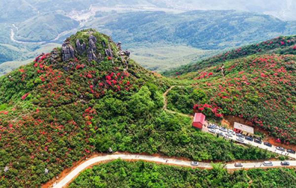 旅游,丰城市,华山,历史,丰城