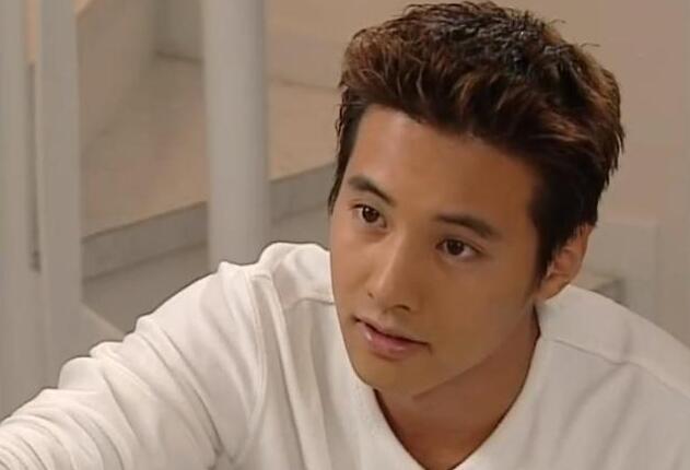 早年韩剧中的四位天王男演员,韩流能盛行多年,他们起到了带头的作用