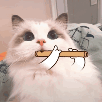 超可爱的表情包