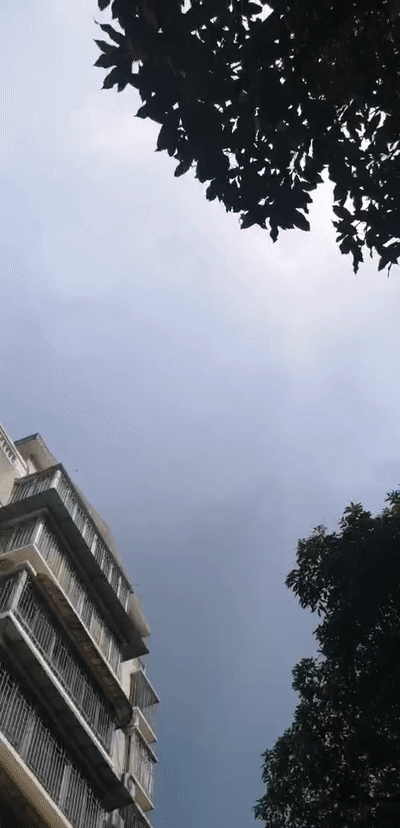 400_828竖版 竖屏gif 动态图 动图