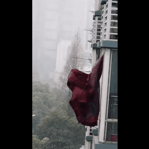 网红窗帘将被湖北省博永久收藏这是真的飘了