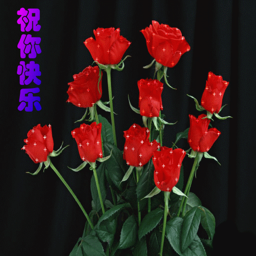 520最新版温馨表白情话精选