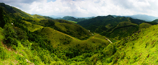 640_262gif 动态图 动图