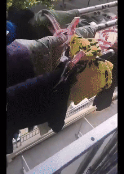 400_563竖版 竖屏gif 动态图 动图