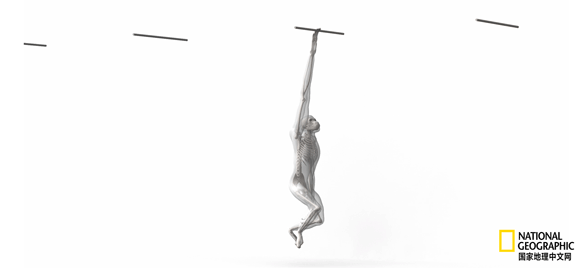 卢克·天行者|这“泼猴”敏捷值满格，但躲不过濒危