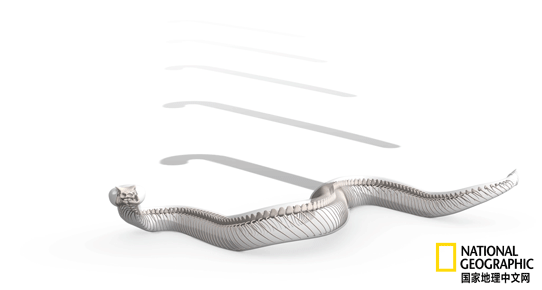 骨质疏松|这一堆堆的白骨，居然活了